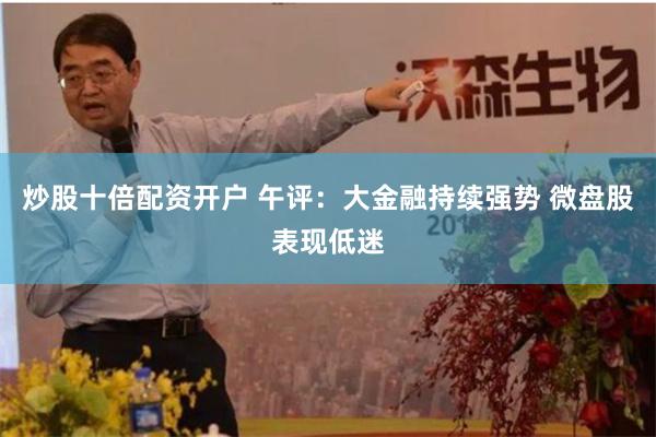 炒股十倍配资开户 午评：大金融持续强势 微盘股表现低迷